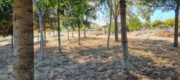 8000m² Land in Saint-Medard-en-Forez, France No. 88458 4