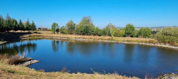 8000m² Land in Saint-Medard-en-Forez, France No. 88458 2