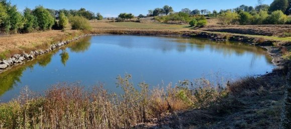 8000m² Land in Saint-Medard-en-Forez, France No. 88458 3