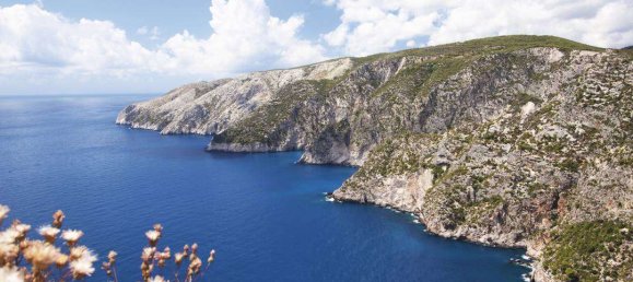  فندق في Zakynthos, Greece رقم 8546 2