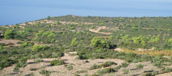  فندق في Zakynthos, Greece رقم 8546 24