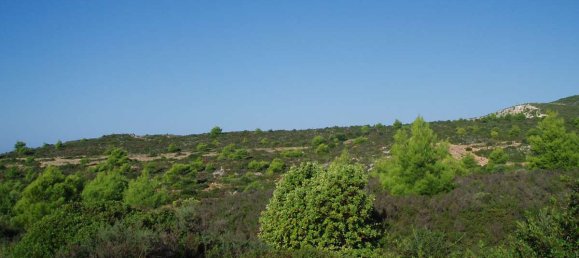  فندق في Zakynthos, Greece رقم 8546 13