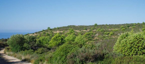  فندق في Zakynthos, Greece رقم 8546 12