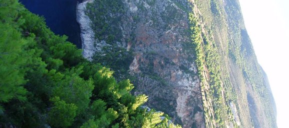  فندق في Zakynthos, Greece رقم 8546 16