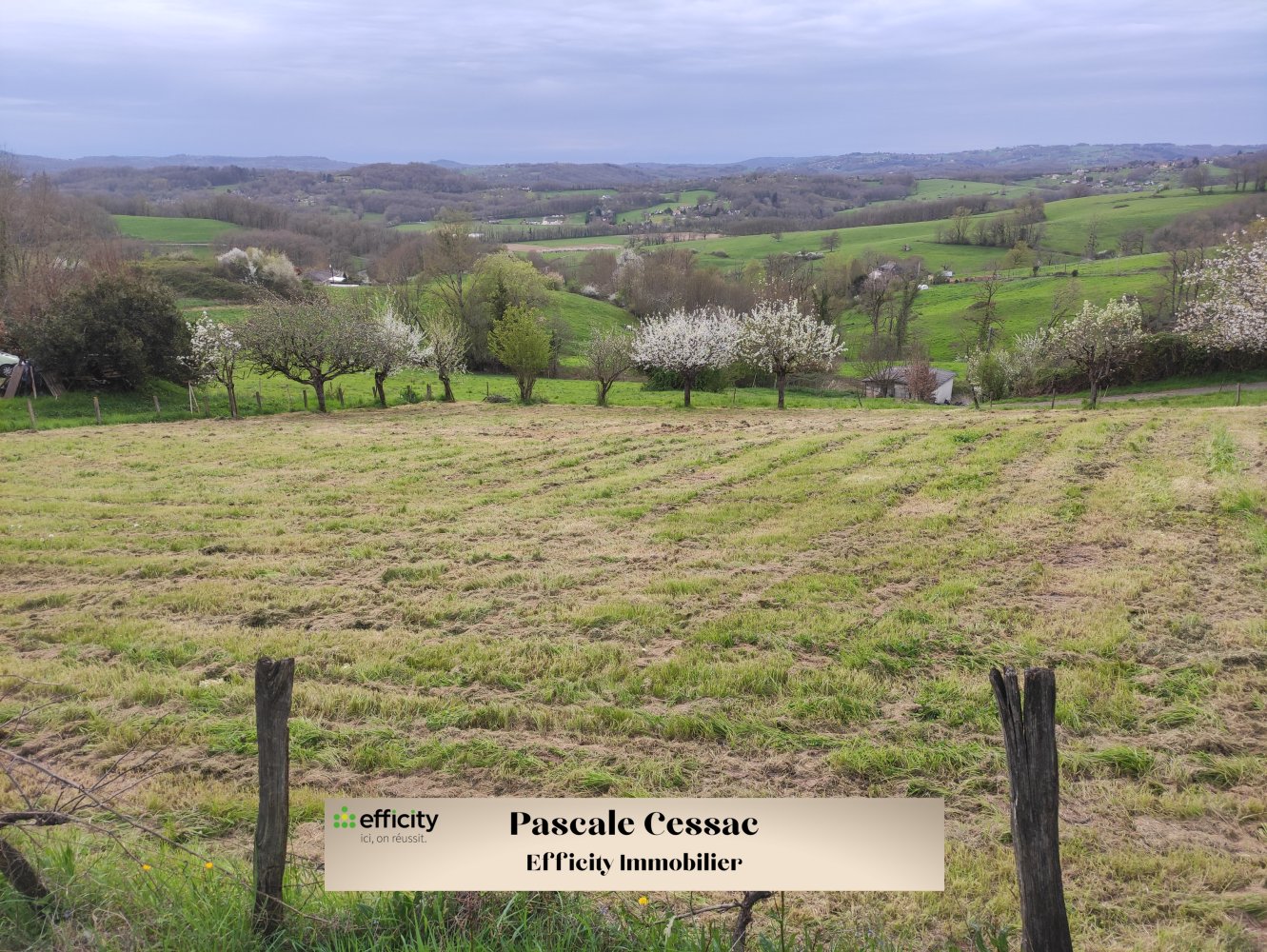 1437m² Land in Voutezac, France No. 96018