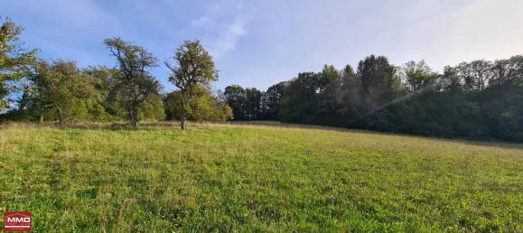 Земельный участок 29282м² в Тулльнербах, Австрия № 10384 8