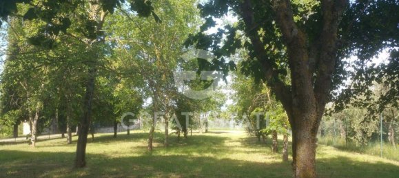 4 bedrooms House in Ficulle, Italy No. 110555 2