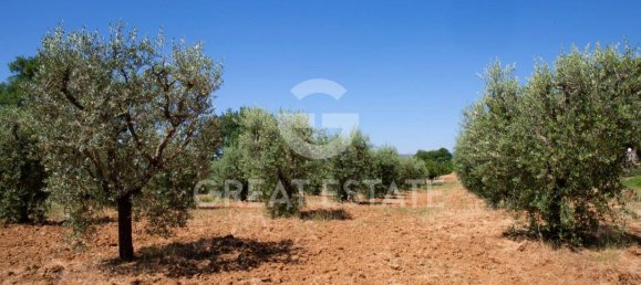 4 bedrooms House in Ficulle, Italy No. 110555 4