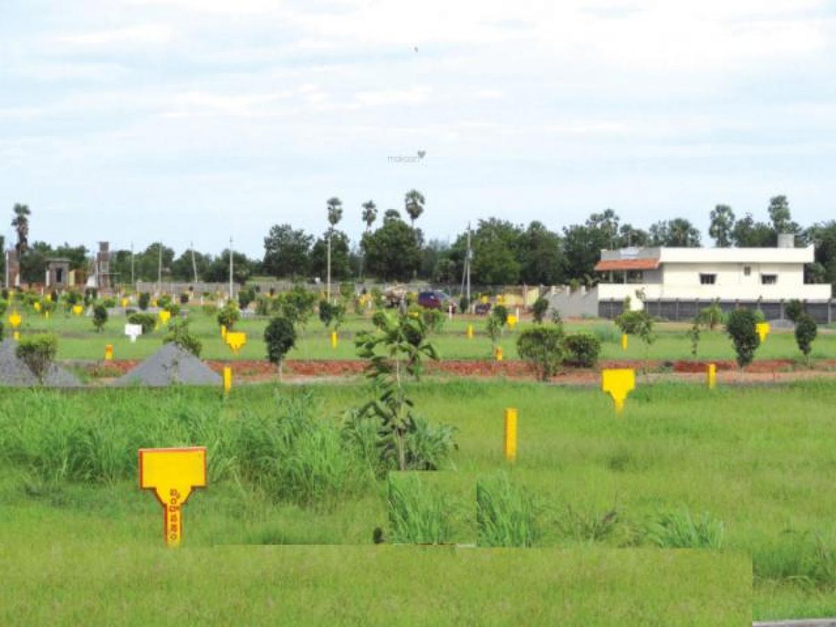 Studio à Vijayawada, India No. 7345