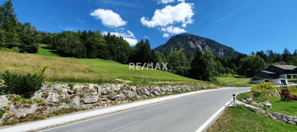  Land in Bad Aussee, Austria No. 76771 4