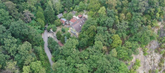 11-Zimmer Haus in Döbling, Austria, Nr. 237417 10