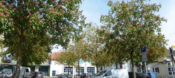 4 Schlafzimmer Gebäude in Darmstadt, Germany, Nr. 37352 4