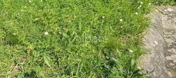 4-salle Appartement à Lerici, Italy No. 156152 23