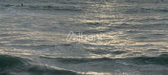 4-salle Appartement à Lerici, Italy No. 156152 24