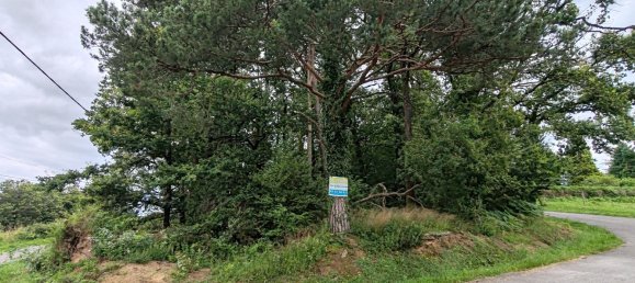 1410m² Land in Saint-Leonard-de-Noblat, France No. 111865 4