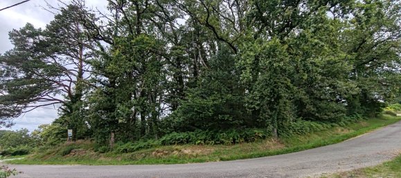 1410m² Land in Saint-Leonard-de-Noblat, France No. 111865 3