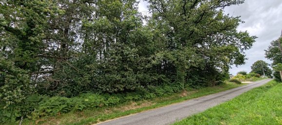 1410m² Land in Saint-Leonard-de-Noblat, France No. 111865 2