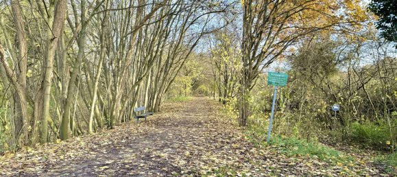 Bungalow de 5 habitaciónes en Hanover, Germany No. 155529 4