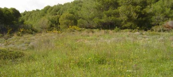 4 bedrooms Commercial property in Zakynthos, Greece No. 433 5