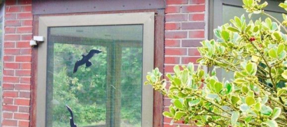 15609m² Cafe / restaurant in Pinneberg, Germany No. 241927 24