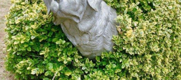 15609m² Cafe / restaurant in Pinneberg, Germany No. 241927 20