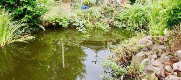 15609m² Cafe / restaurant in Pinneberg, Germany No. 241927 30