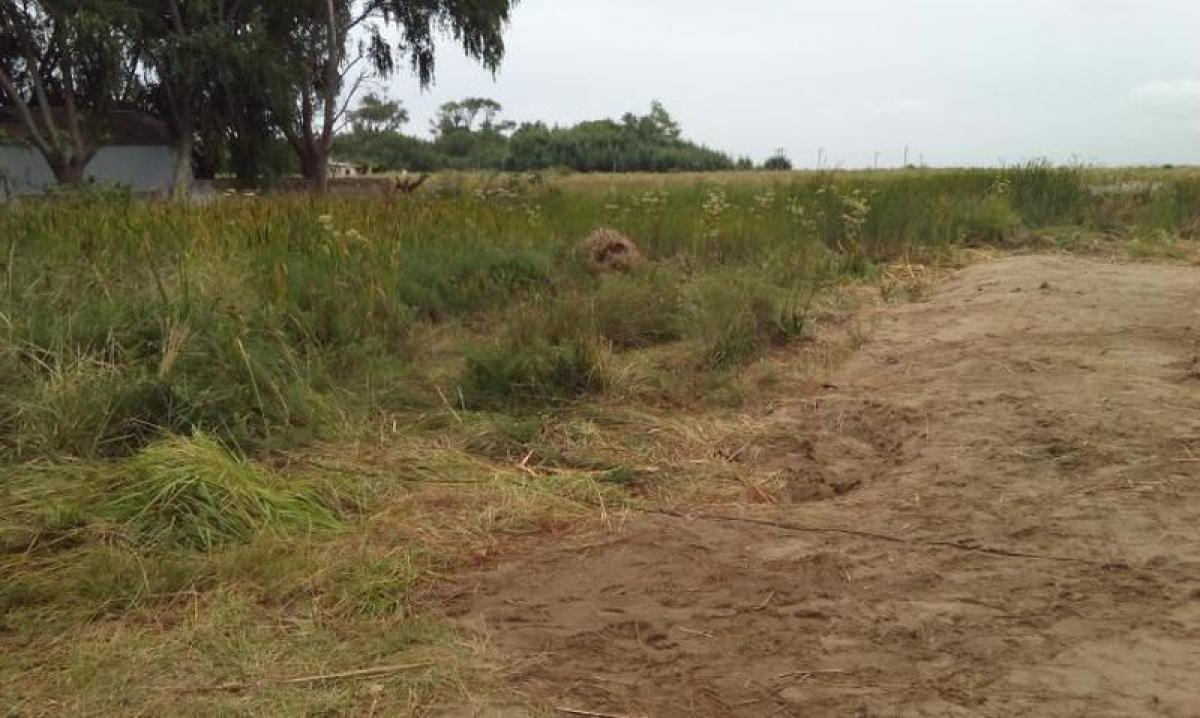 قطعة أرض في Mar del Plata, Argentina 200متر مربع رقم 114863