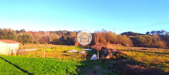 Terreno en Viseu, Portugal 3770 m² No. 63914 11