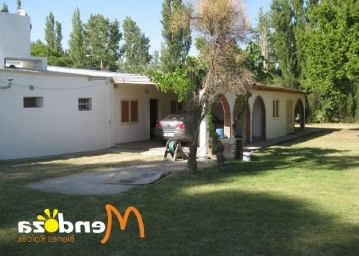 3 bedrooms House in Mendoza, Argentina No. 17919