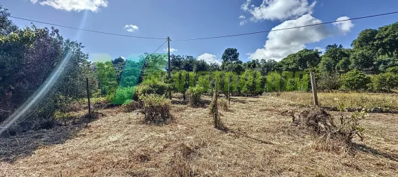 3 bedrooms House in Monchique, Portugal No. 82552 6