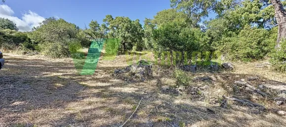 3 bedrooms House in Monchique, Portugal No. 82552 11