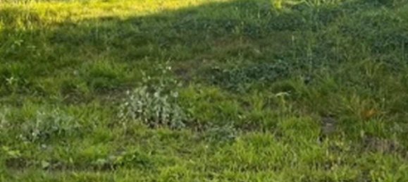 3 bedrooms Townhouse in Markischer, Germany No. 307964 6