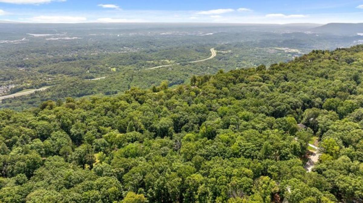 Studio in Signal Mountain, USA No. 396884