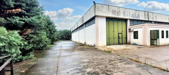 Armazém em Poggio Rusco, Italy 506 m² N.º 378500 14