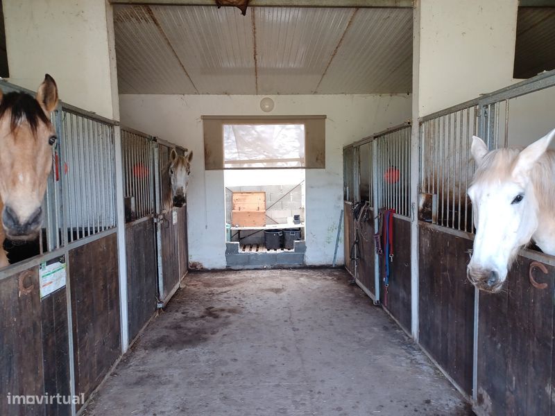 5000m² Land in Coimbra, Portugal No. 290726