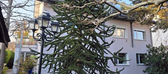 Dúplex de 2 dormitorios en Morfelden-Walldorf, Germany No. 34889 2