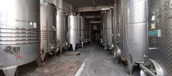 1322m² Commercial property in Benissa, Spain No. 186638 6