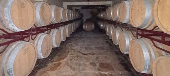 1322m² Commercial property in Benissa, Spain No. 186638 10