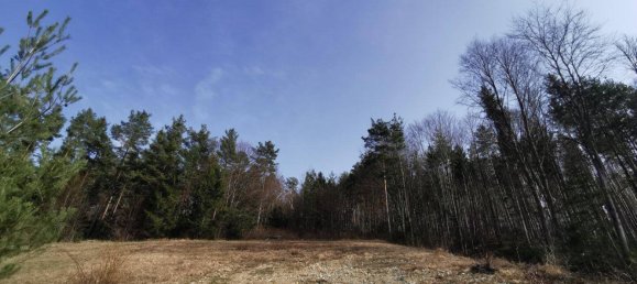 Terrain à Walpersbach, Austria No. 28624 2