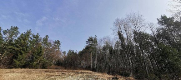 Terrain à Walpersbach, Austria No. 28624 4