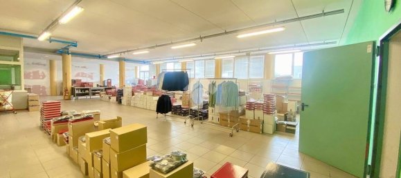3 rooms Commercial property in Tombolo, Italy No. 347229 9