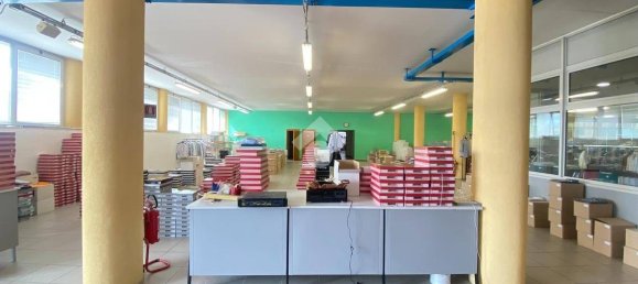 3 rooms Commercial property in Tombolo, Italy No. 347229 30