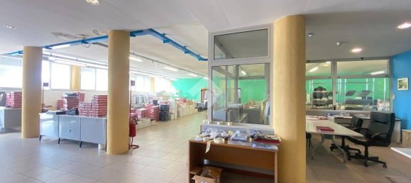 3 rooms Commercial property in Tombolo, Italy No. 347229 31