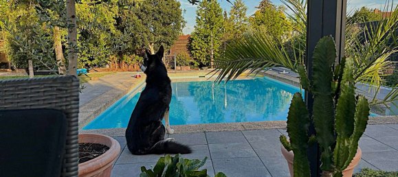 Casa T4 em Rhein-Neckar-Kreis, Germany N.º 114662 15