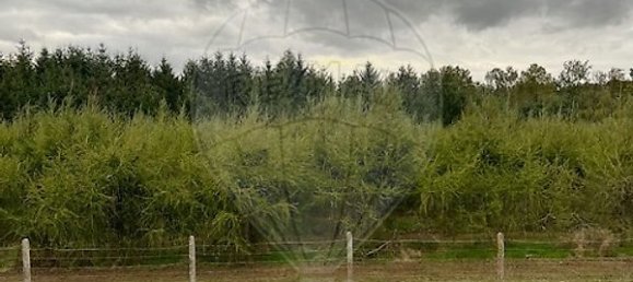 1 bedroom Apartment in Ardon, France No. 236810 13