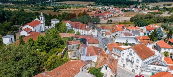 4 غرف نوم منزل في Canas de Senhorim, Portugal رقم 19104 9