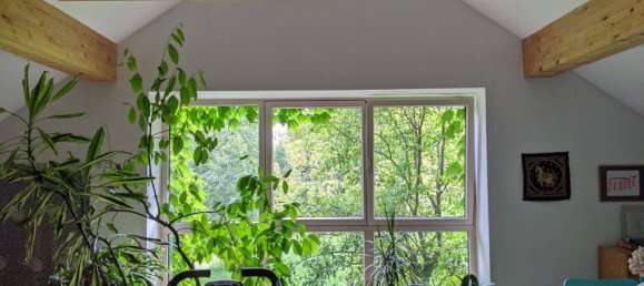 3 غرف نوم عقار تجاري في Klaffer am Hochficht, Austria رقم 208114 28