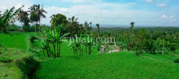  قطعة أرض في West Nusa Tenggara, Indonesia 26543متر مربع رقم 4109 8
