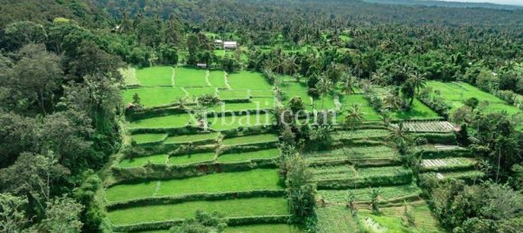  قطعة أرض في West Nusa Tenggara, Indonesia 26543متر مربع رقم 4109 11