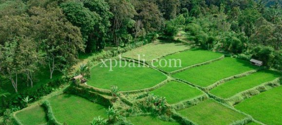  قطعة أرض في West Nusa Tenggara, Indonesia 26543متر مربع رقم 4109 12